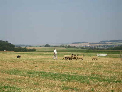 border05 045_1