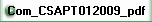 Com_CSAPT012009_pdf