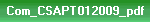 Com_CSAPT012009_pdf