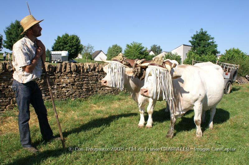 PICT0302.JPG