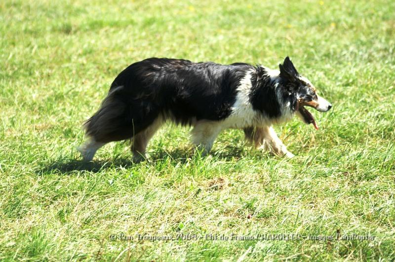 PICT0564.JPG