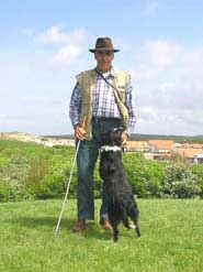 Lavi0002t