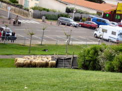 Duve0156