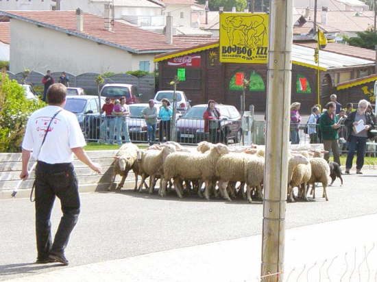 Fair5310
