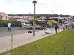 Laup0142