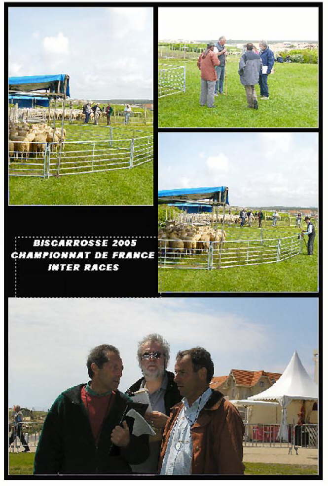 Les Juges