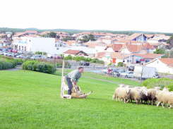 Monm5527