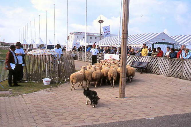 biscarosse05009m