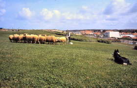 biscarosse05012m
