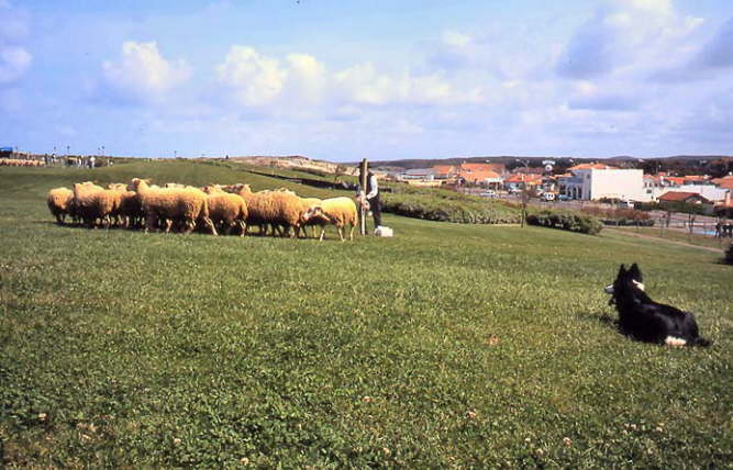 biscarosse05012m