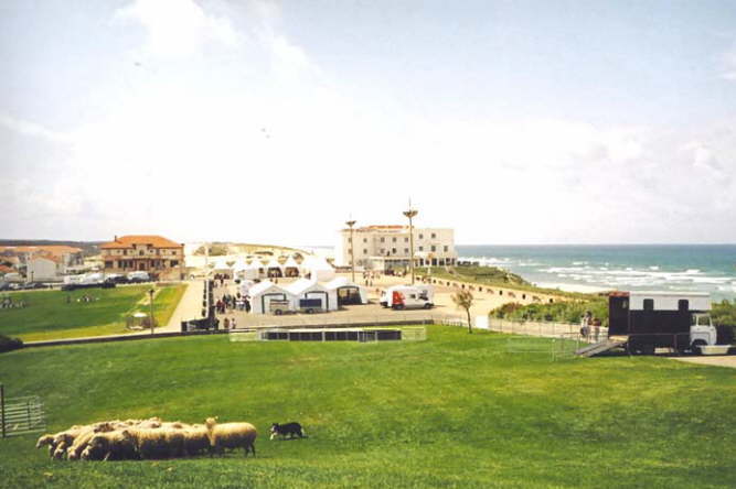 biscarosse05028m