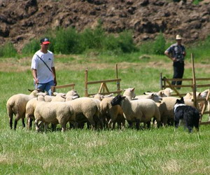 Championnat de france 2007 095p