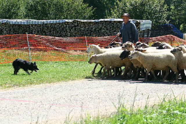 Championnat de france 2007 248