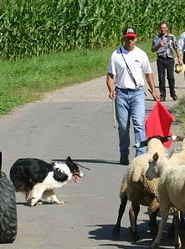 Championnat de france 2007 063p