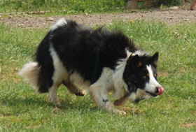 victor3