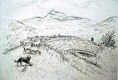 MP_Auvergne08_2
