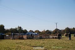 Kjp_2974