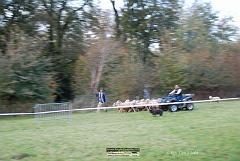 Kjp_2676