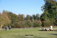Kjp_2797