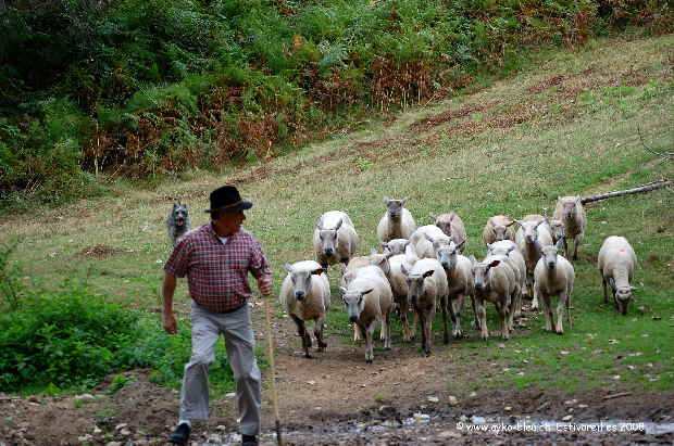 Ayk_0820
