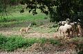 Ayk_0869