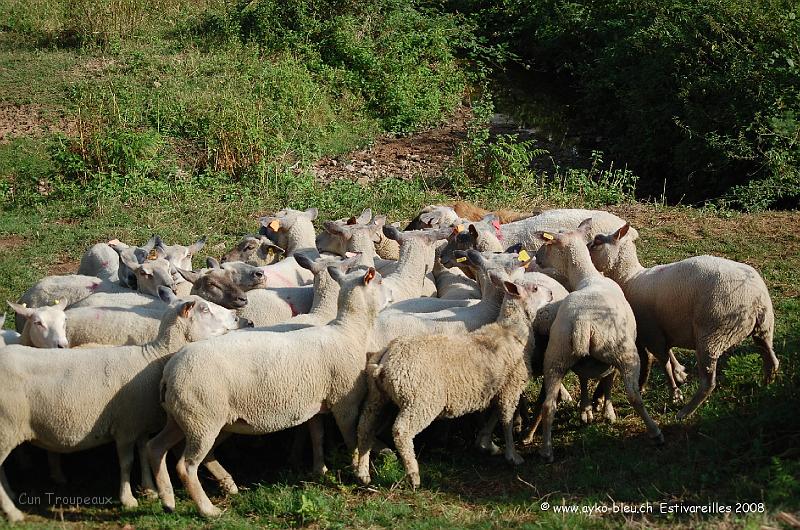 Ayk_0637.JPG