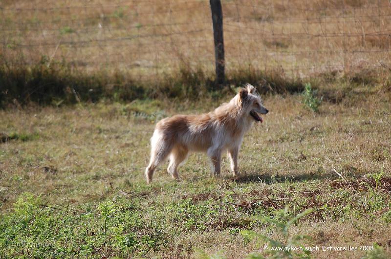 Ayk_0649.JPG