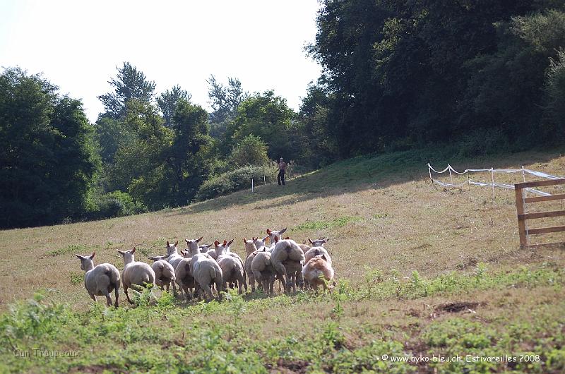 Ayk_0678.JPG