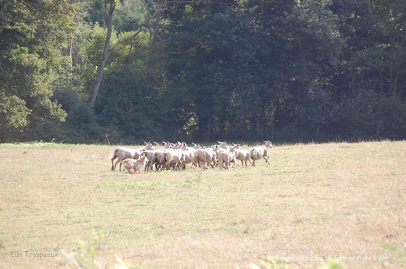 Ayk_0681.JPG