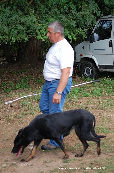 Ayk_0838.JPG