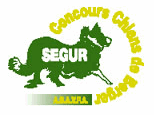 logo_segur