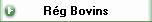 Rg Bovins